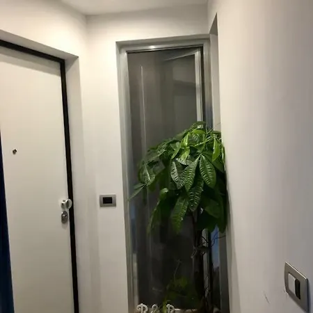 Casa Amalia 巴列塔