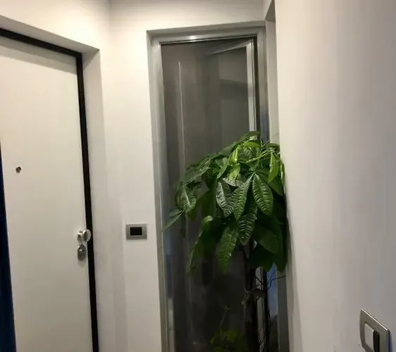 Casa Amalia バルレッタ